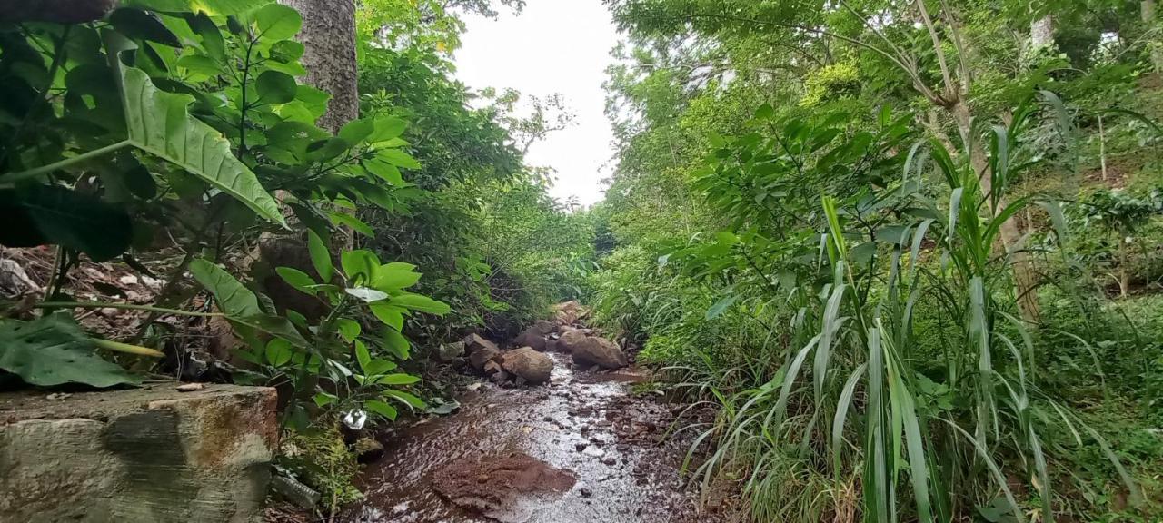 Istays - Loop Road, Yercaud Ngoại thất bức ảnh