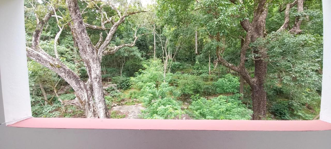 Istays - Loop Road, Yercaud Ngoại thất bức ảnh